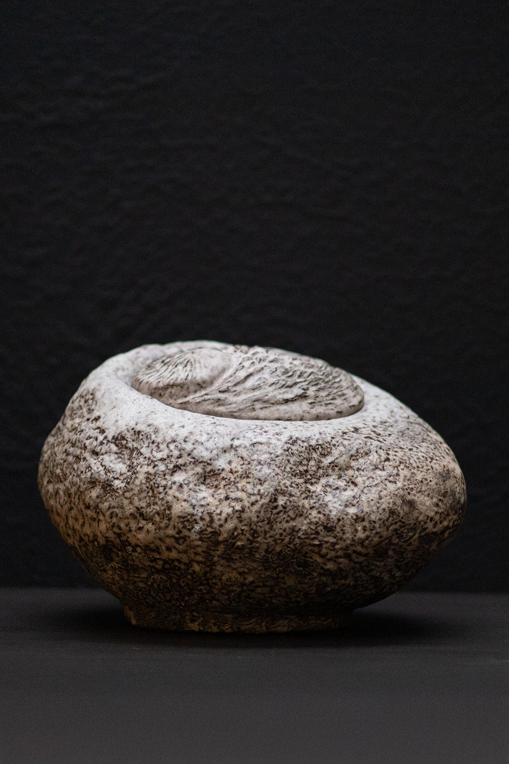 Terra Origin II