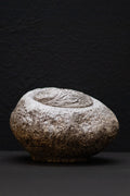 Terra Origin II