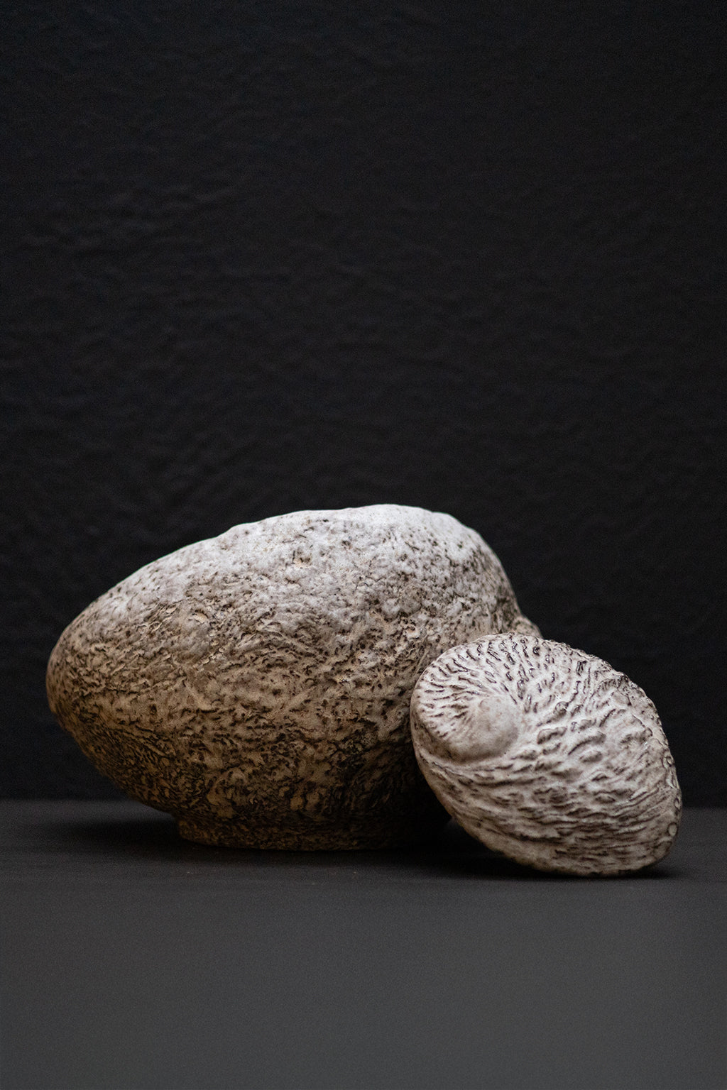Terra Origin II